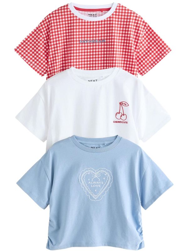 Next Next Majica  svijetloplava / klasično crvena / bijela