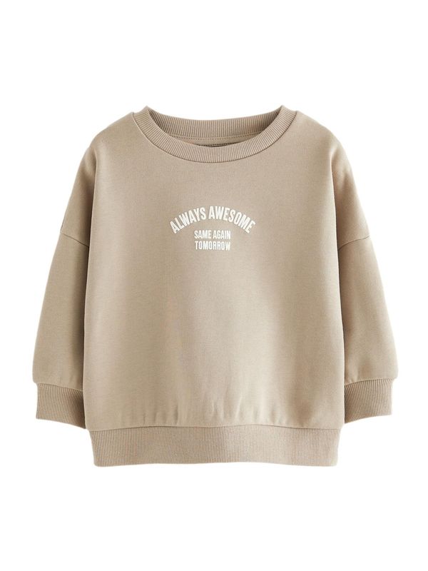 Next Next Sweater majica  bež / bijela