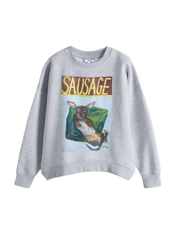 Next Next Sweater majica 'Frankie Thorpe Dackel'  pastelno plava / tamno smeđa / siva melange / zelena