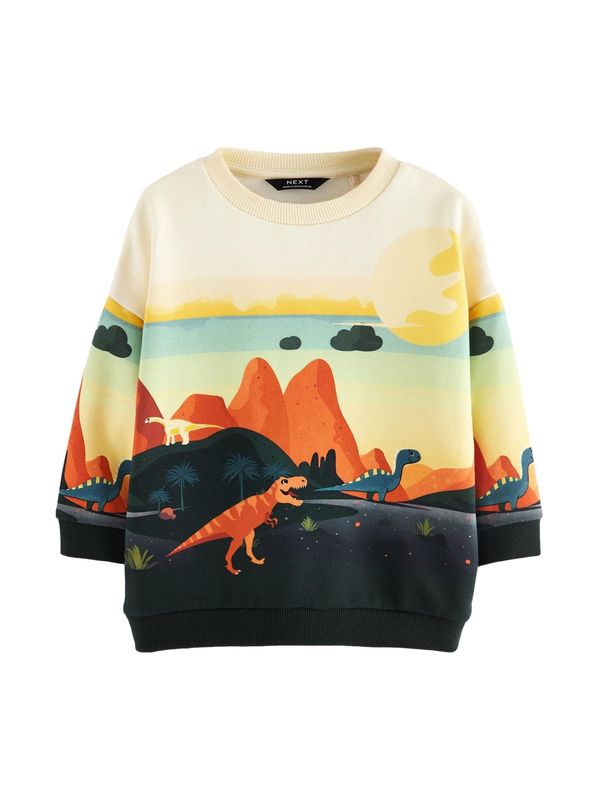 Next Next Sweater majica  miks boja / crna