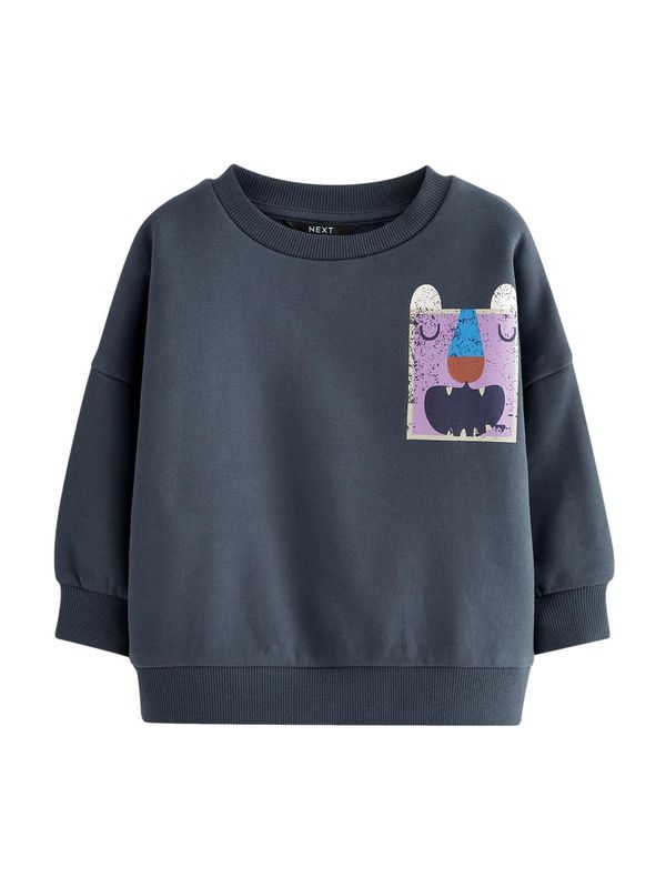 Next Next Sweater majica  mornarsko plava / miks boja