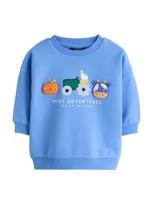 Next Next Sweater majica  opal / svijetloplava / kraljevski zelena / tamno narančasta