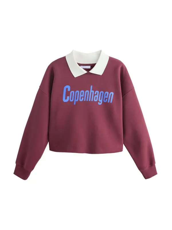 Next Next Sweater majica  plava / burgund / bijela
