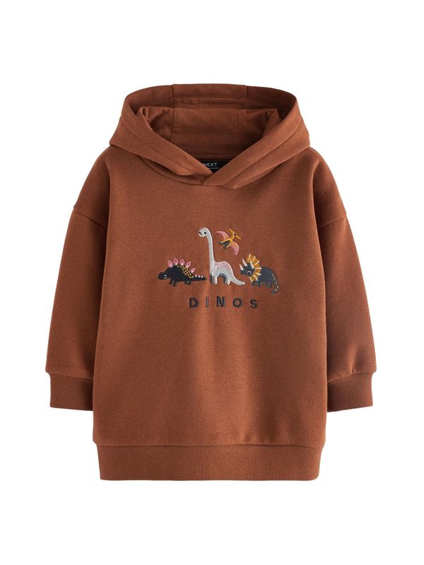 Next Next Sweater majica  smeđa / miks boja