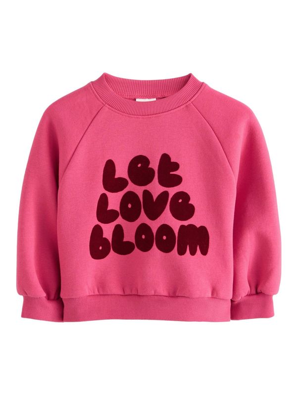 Next Next Sweater majica  smeđa / roza