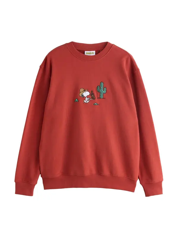 Next Next Sweater majica 'Snoopy'  smeđa / zelena / trešnja crvena / bijela