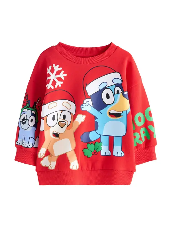 Next Next Sweater majica  svijetloplava / konjak / crvena / bijela