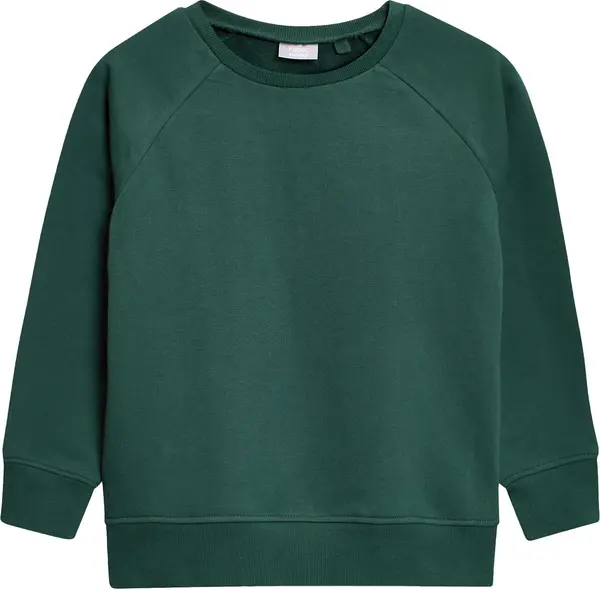 Next Next Sweater majica  tamno zelena