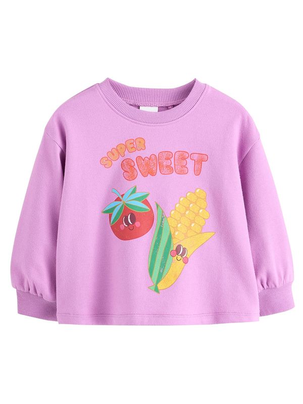 Next Next Sweater majica  tamo žuta / zelena / šljiva / krvavo crvena