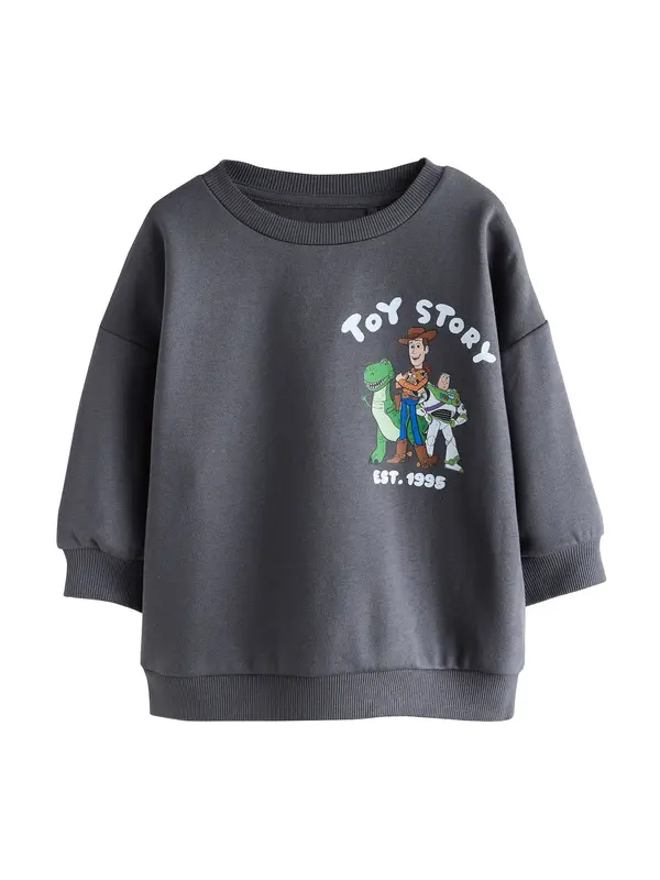 Next Next Sweater majica 'Toy Story'  smeđa / antracit siva / zelena / bijela