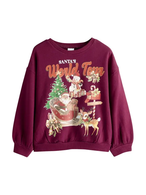 Next Next Sweater majica  zelena / crvena / burgund / bijela