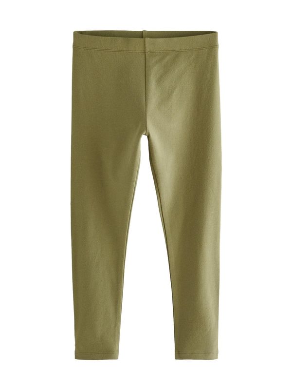 Next Next Tajice  sivkasto zelena