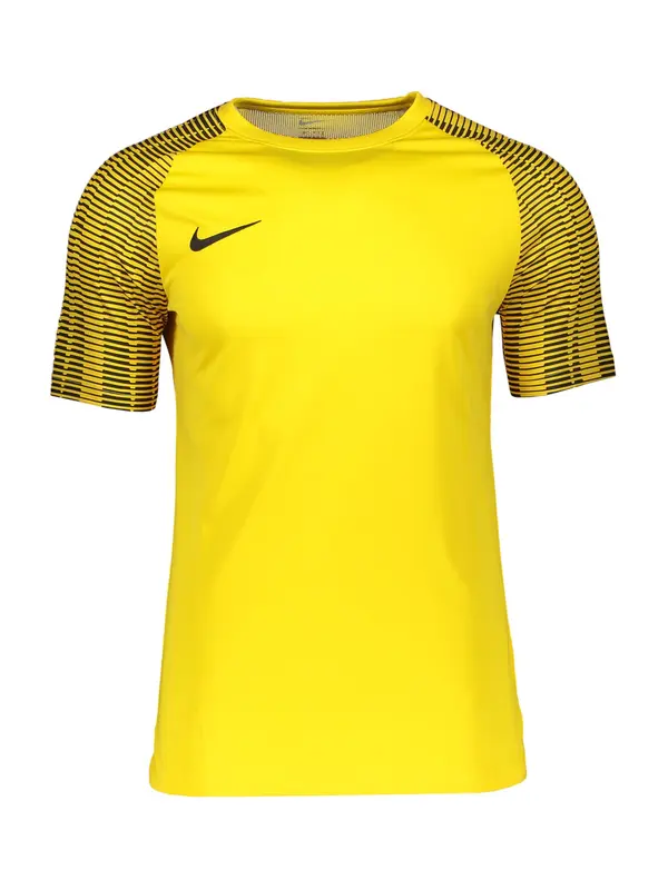 NIKE NIKE Dres 'Academy'  tamo žuta / crna