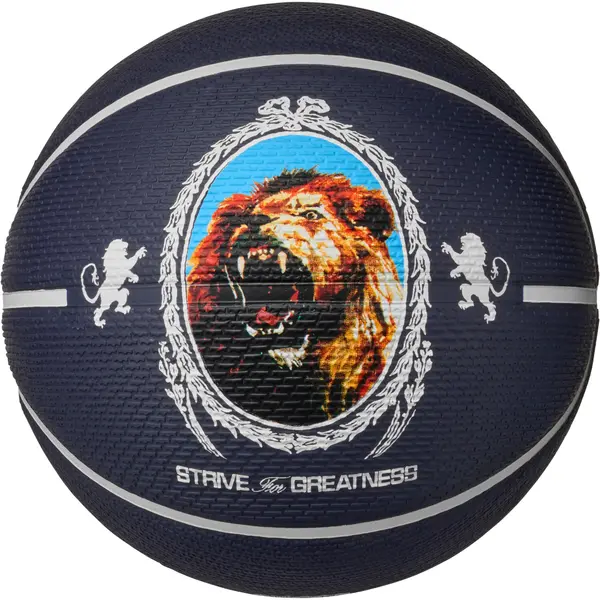 NIKE NIKE Lopta 'Playground 8P L James Deflated'  azur / tamno plava / smeđa / svijetlosiva