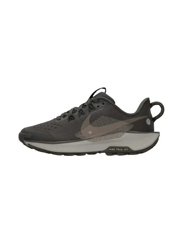 NIKE NIKE Sportske cipele 'Pegasus Trail 5'  brokat / tamno smeđa / grafit siva