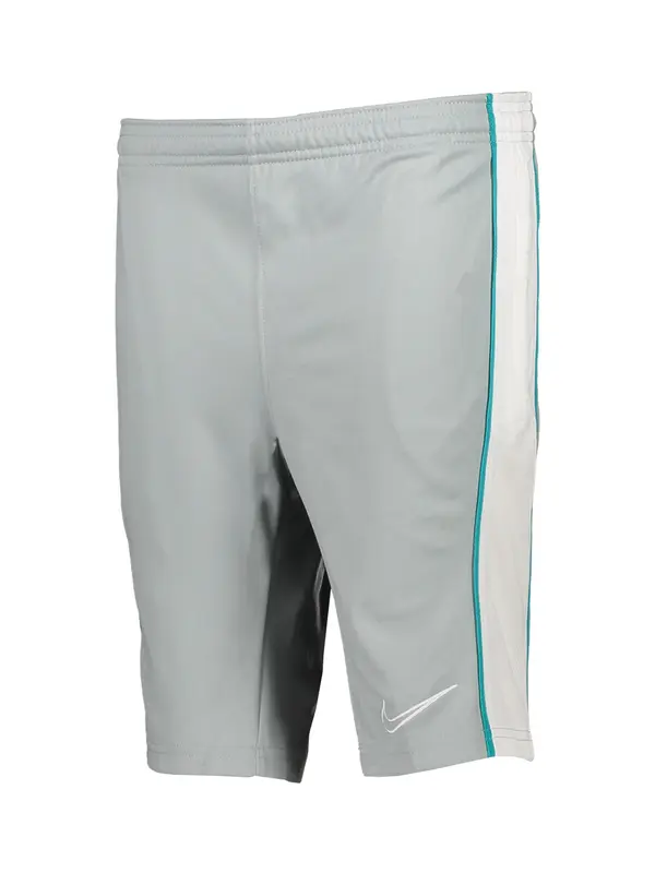 NIKE NIKE Sportske hlače  cijan plava / siva / bijela