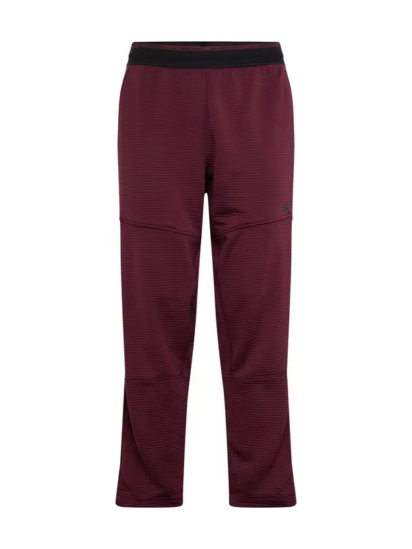 NIKE NIKE Sportske hlače 'Pro'  bordo