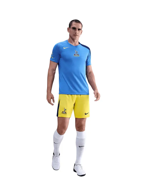 NIKE NIKE Sportske hlače 'Tottenham Hotspur 2025/2026'  žuta / crna