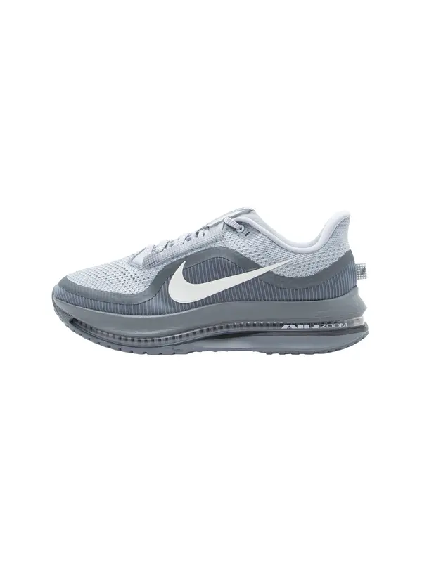 NIKE NIKE Tenisice za trčanje 'Pegasus Premium'  svijetlosiva / tamo siva / bijela