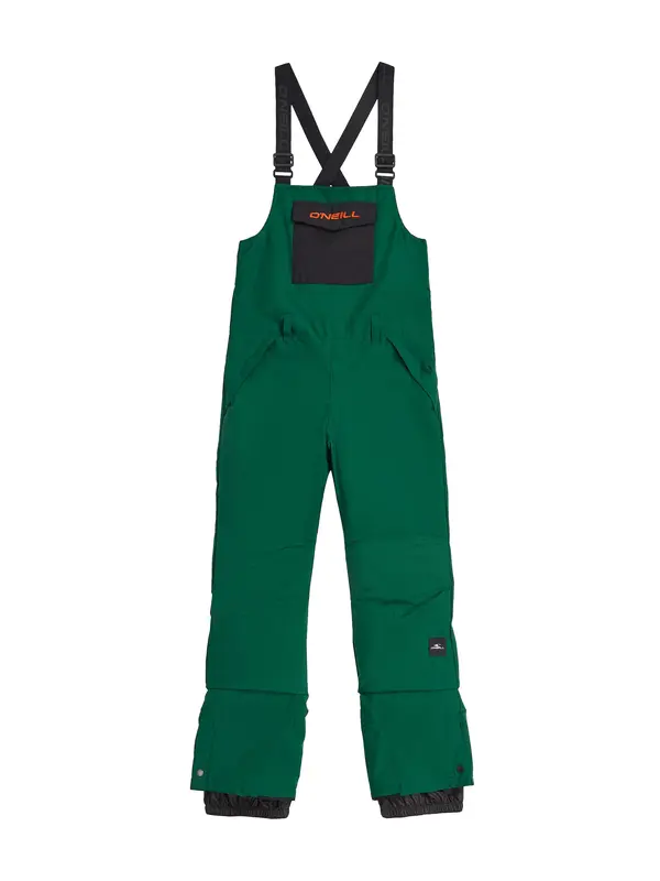 O'NEILL O'NEILL Hlače za vanjske uvjete  kraljevski zelena