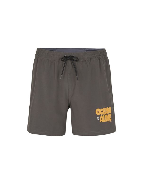 O'NEILL O'NEILL Surferske kupaće hlače  tamo siva / svijetlonarančasta / bijela