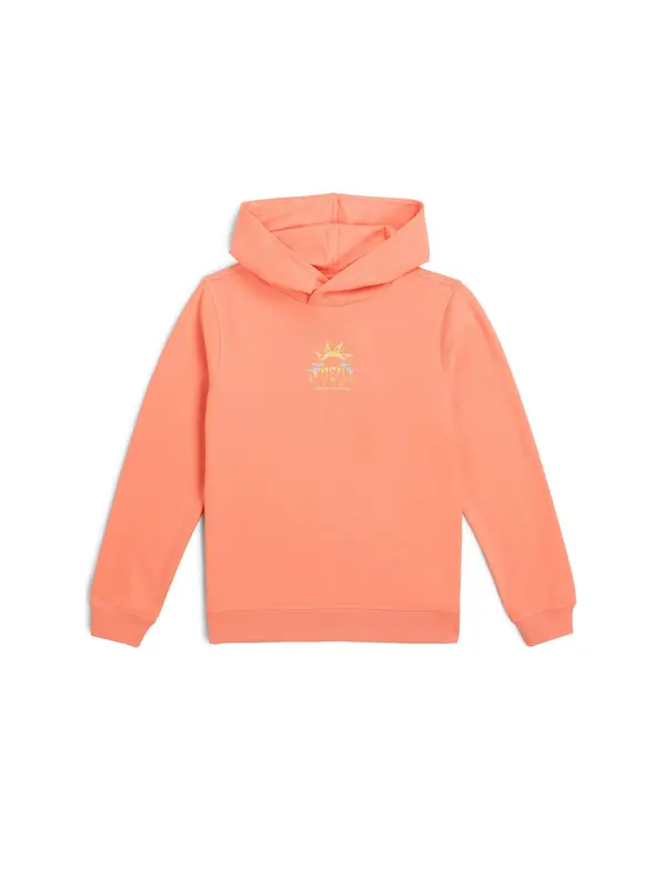 O'NEILL O'NEILL Sweater majica  miks boja / koraljna
