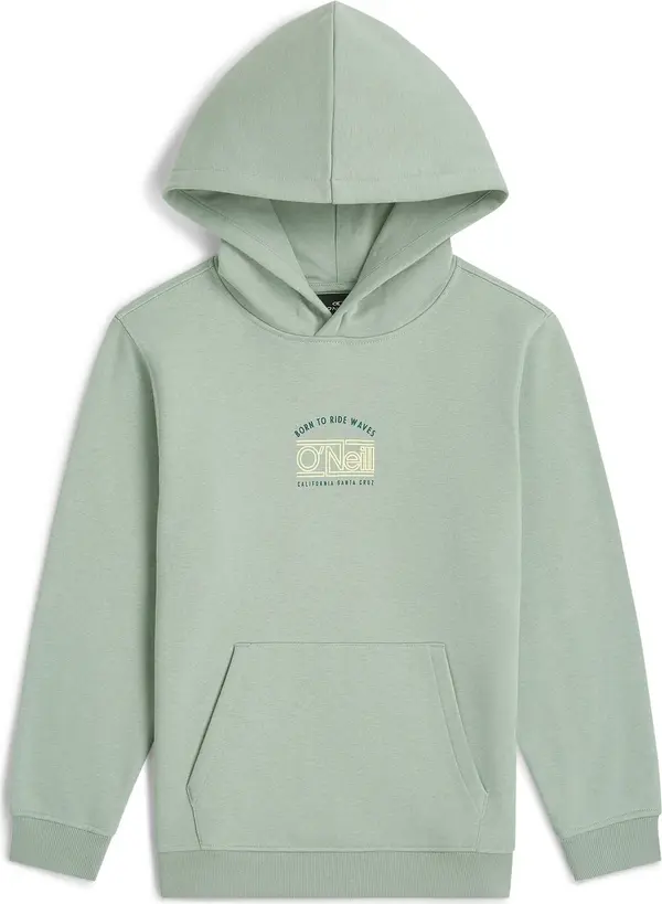 O'NEILL O'NEILL Sweater majica  pastelno zelena