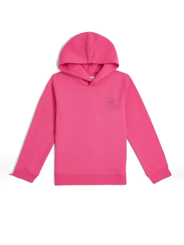 O'NEILL O'NEILL Sweater majica  roza / srebro