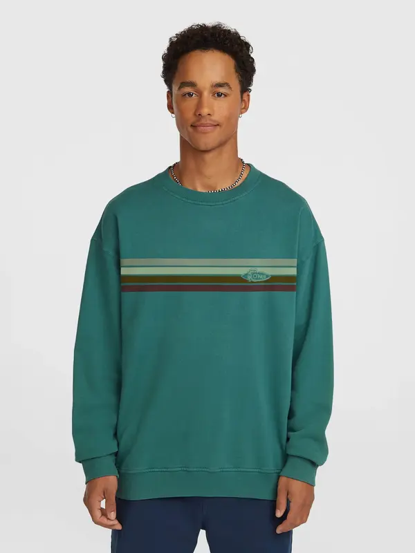 O'NEILL O'NEILL Sweater majica  smeđa / tamno zelena