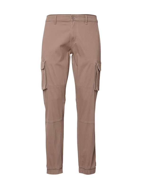 Only & Sons Only & Sons Cargo hlače 'ONSCAM STAGE'  moka smeđa