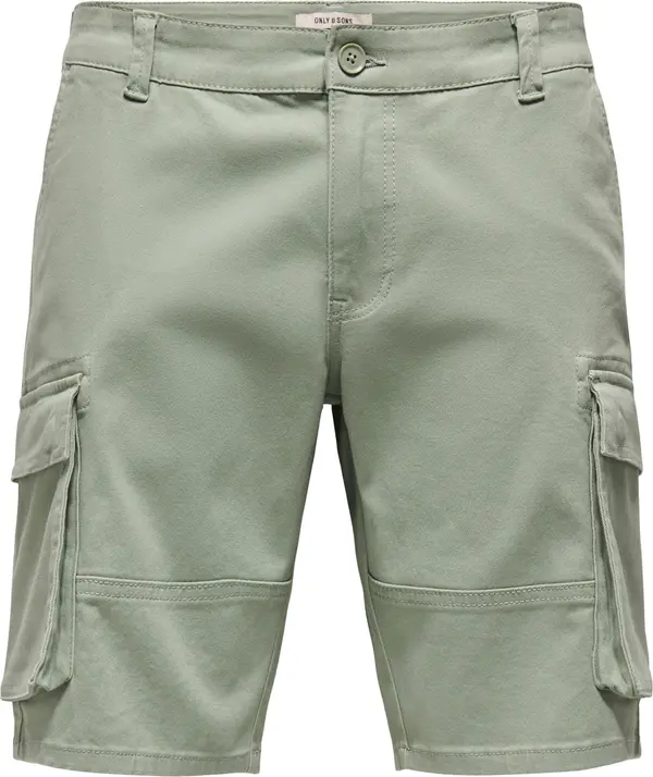 Only & Sons Only & Sons Cargo hlače 'ONSCAM STAGE'  pastelno zelena