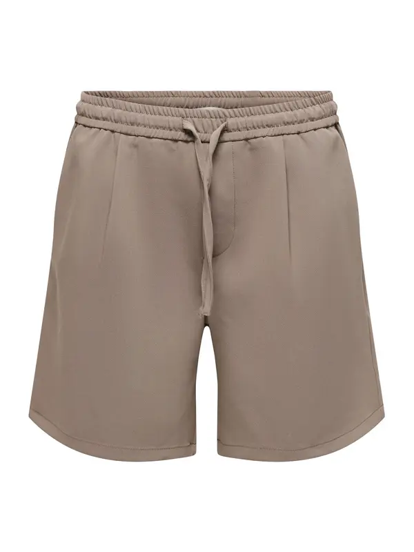 Only & Sons Only & Sons Hlače s naborima 'ONSWill'  moka smeđa