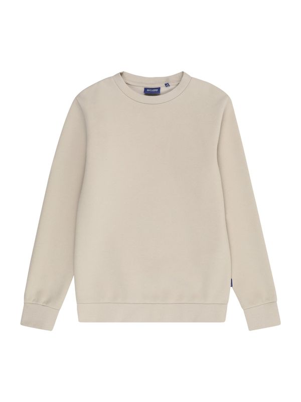 Only & Sons Junior Only & Sons Junior Sweater majica 'OSJCERES'  taupe siva
