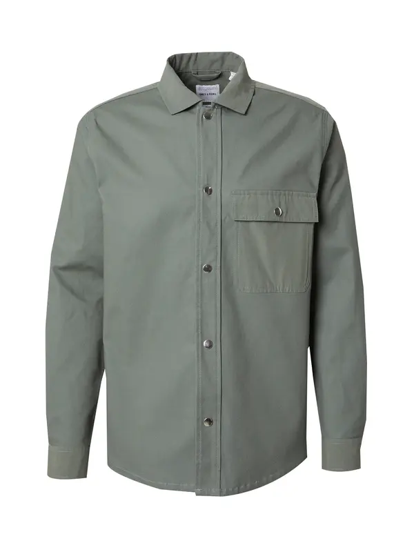 Only & Sons Only & Sons Košulja 'ONSCONCORD'  pastelno zelena