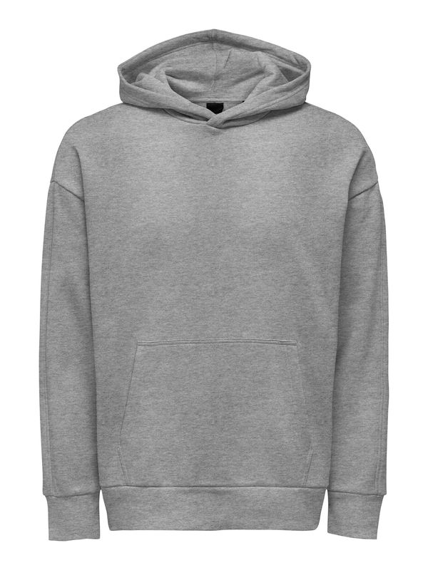 Only & Sons Only & Sons Sweater majica 'Dan'  siva melange