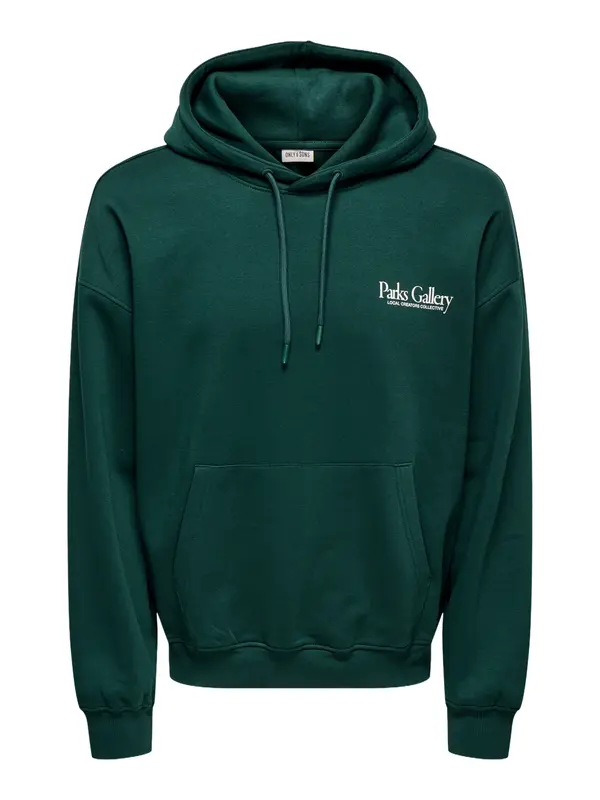 Only & Sons Only & Sons Sweater majica 'GALLERY'  zelena / bijela