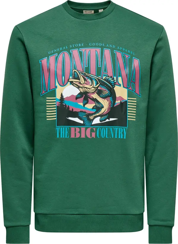 Only & Sons Only & Sons Sweater majica 'ONSCERES MONTO'  azur / zelena / ljubičasta / crna
