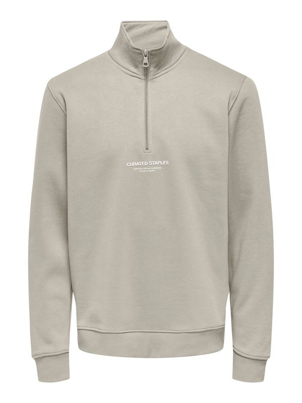 Only & Sons Only & Sons Sweater majica 'ONSCURATED'  svijetlosiva / bijela