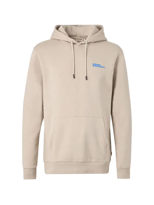 Only & Sons Only & Sons Sweater majica 'ONSNORM'  azur / bež siva