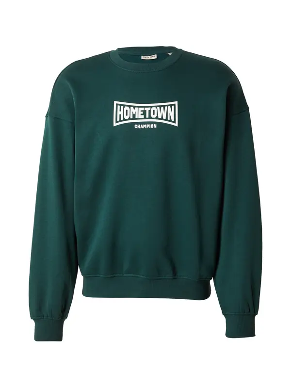 Only & Sons Only & Sons Sweater majica 'ONSTURNER'  tamno zelena / bijela