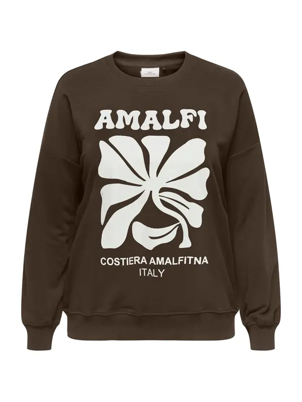 ONLY Carmakoma ONLY Carmakoma Sweater majica 'CAREsmara'  čokolada / bijela
