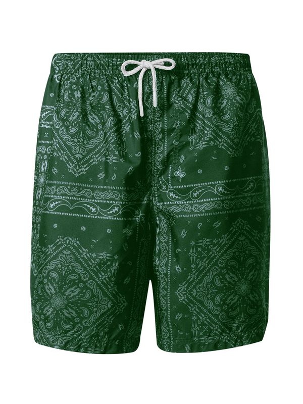 Pacemaker Pacemaker Kupaće hlače 'James'  pastelno zelena / tamno zelena