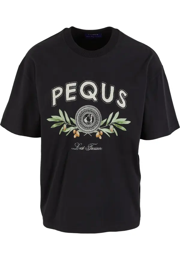 Pequs Pequs Majica 'Olive Coin Relic'  siva / maslinasta / crna / bijela
