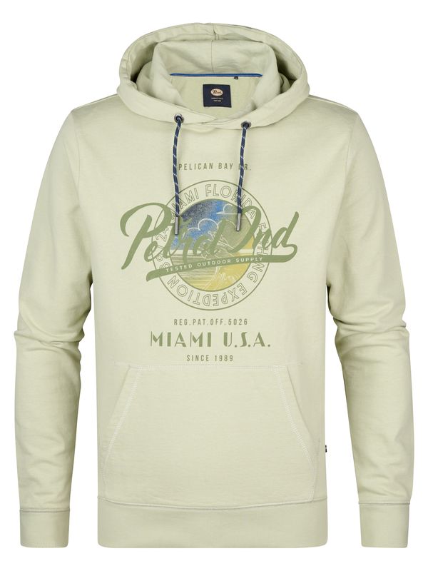Petrol Industries Petrol Industries Sweater majica 'Biscuit'  plava / mornarsko plava / maslinasta / pastelno zelena