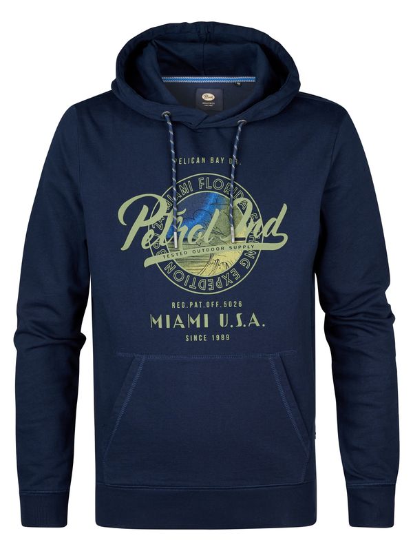 Petrol Industries Petrol Industries Sweater majica 'Biscuit'  plava / mornarsko plava / zelena
