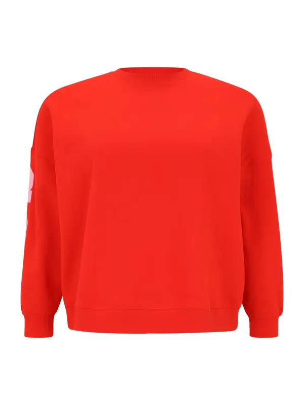 PIECES Curve PIECES Curve Sweater majica 'PCFANY'  roza / svijetlo crvena