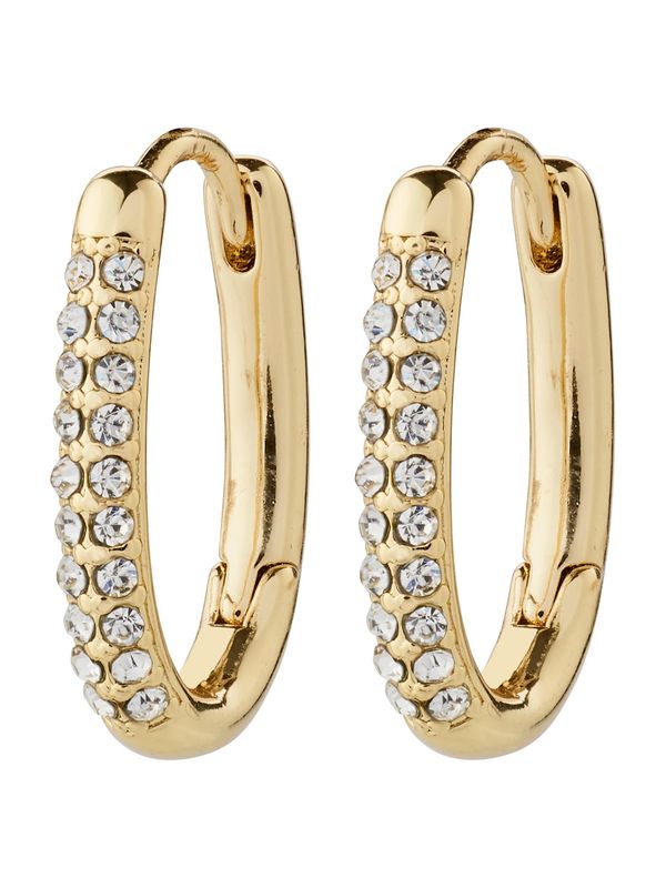 Pilgrim Pilgrim Naušnica 'AMIRI'  zlatna / prozirna