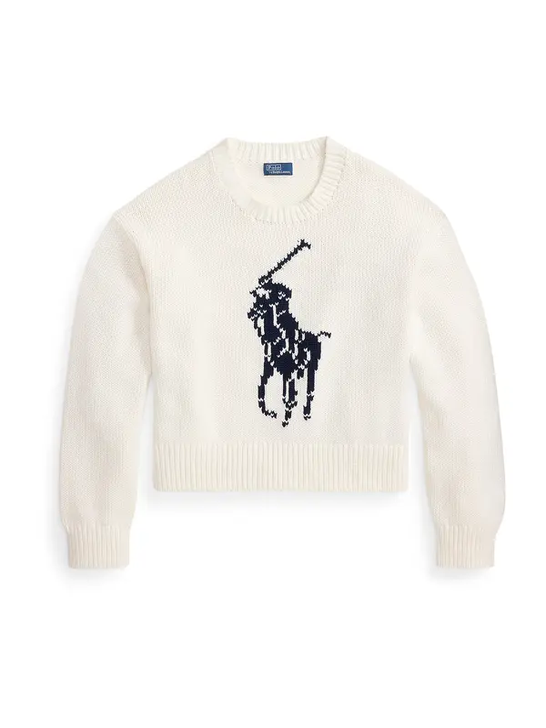 Polo Ralph Lauren Polo Ralph Lauren Pulover  mornarsko plava / bijela