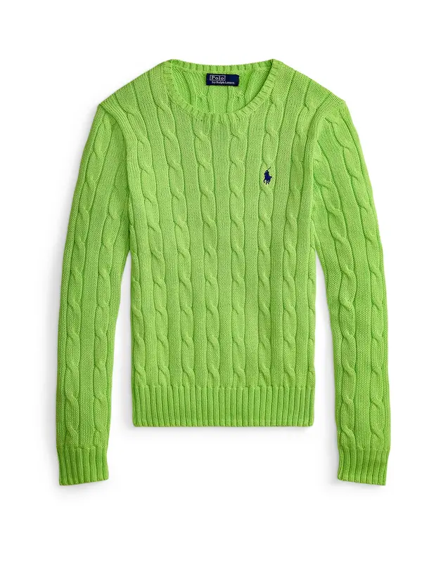 Polo Ralph Lauren Polo Ralph Lauren Pulover  mornarsko plava / kivi zelena