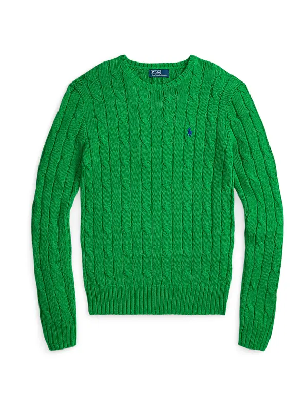 Polo Ralph Lauren Polo Ralph Lauren Pulover  mornarsko plava / zelena